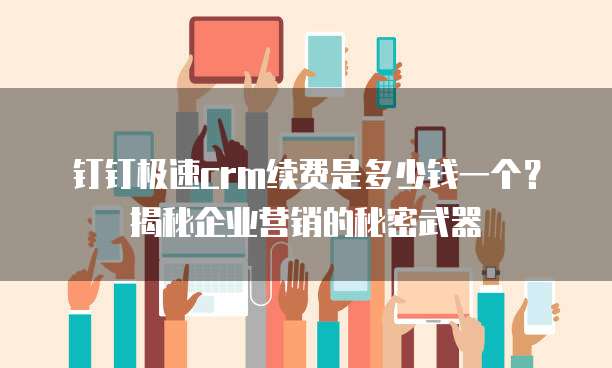 钉钉极速crm续费是多少钱一个?揭秘企业营销的秘密武器