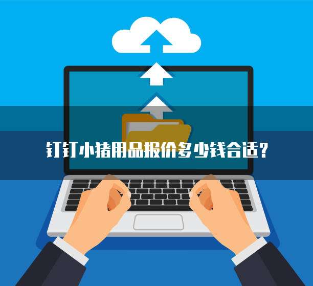 钉钉小猪用品报价多少钱合适？