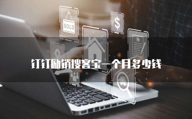 钉钉励销搜客宝一个月多少钱