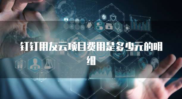 钉钉用友云项目费用是多少元的明细