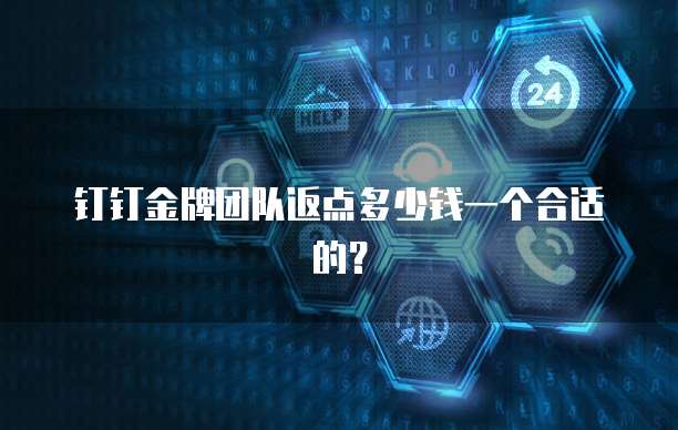 钉钉金牌团队返点多少钱一个合适的?