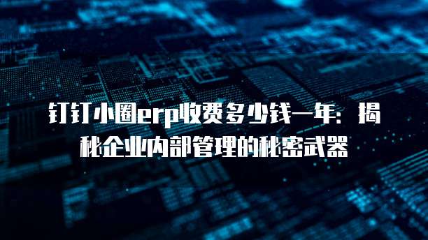 钉钉小圈erp收费多少钱一年：揭秘企业内部管理的秘密武器