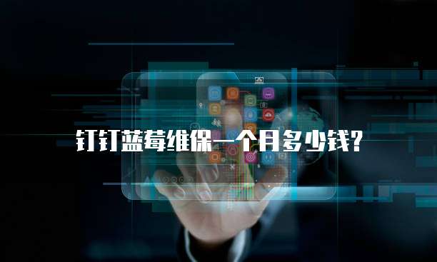 钉钉蓝莓维保一个月多少钱？