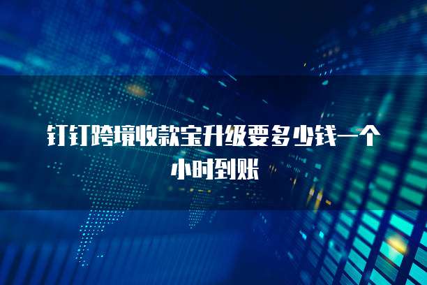 钉钉跨境收款宝升级要多少钱一个小时到账