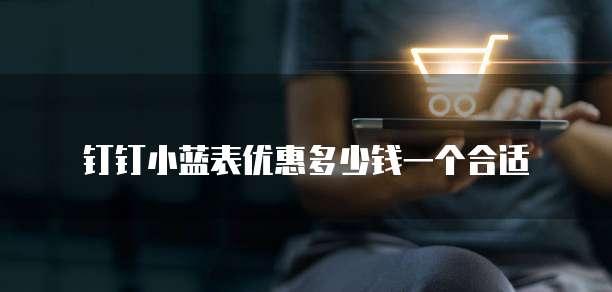钉钉小蓝表优惠多少钱一个合适