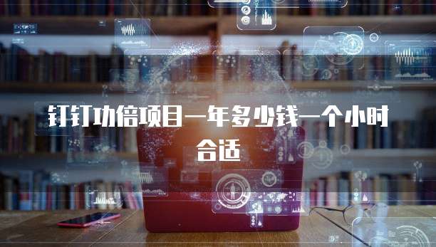 钉钉功倍项目一年多少钱一个小时合适