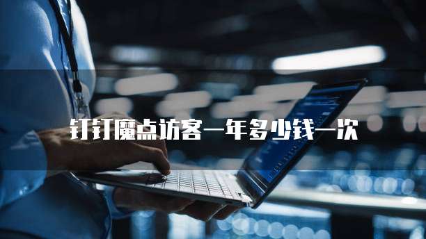 钉钉魔点访客一年多少钱一次