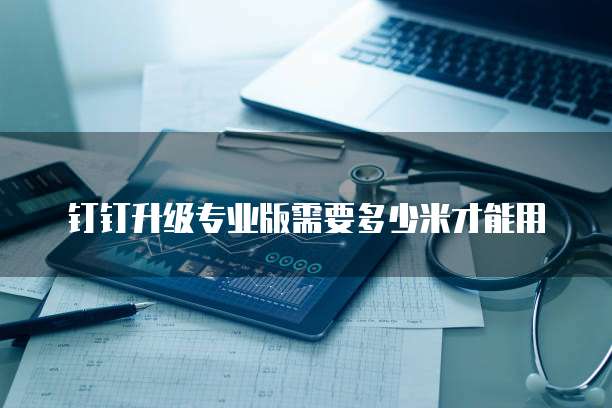 钉钉升级专业版需要多少米才能用