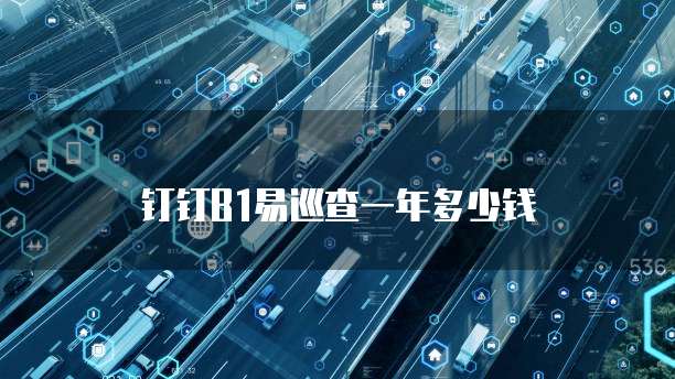钉钉B1易巡查一年多少钱