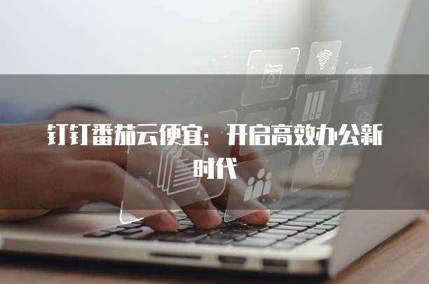钉钉番茄云便宜：开启高效办公新时代