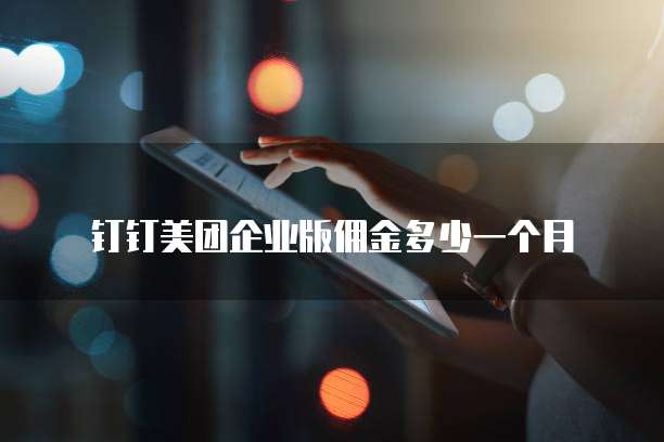 钉钉美团企业版佣金多少一个月
