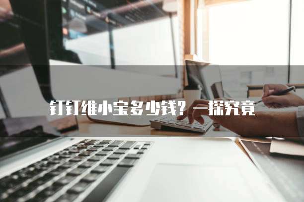 钉钉维小宝多少钱？一探究竟