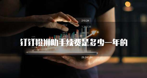 钉钉橙狮助手续费是多少一年的