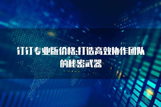 钉钉专业版价格:打造高效协作团队的秘密武器