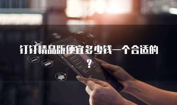 钉钉精品版便宜多少钱一个合适的？