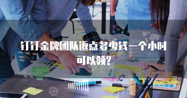 钉钉金牌团队返点多少钱一个小时可以领?
