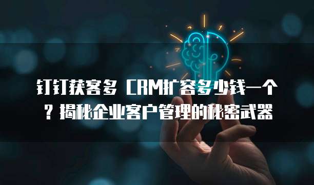 钉钉获客多 CRM扩容多少钱一个?揭秘企业客户管理的秘密武器