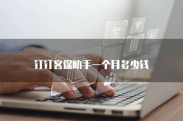 钉钉客保助手一个月多少钱