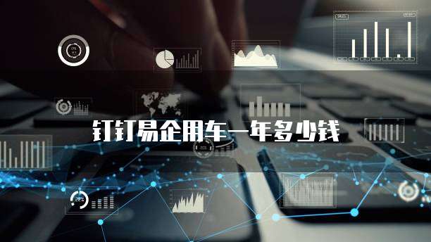 钉钉易企用车一年多少钱