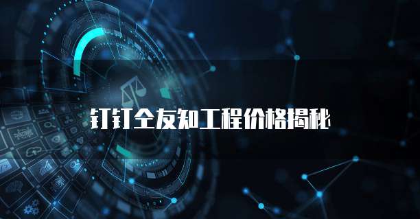 钉钉仝友知工程价格揭秘