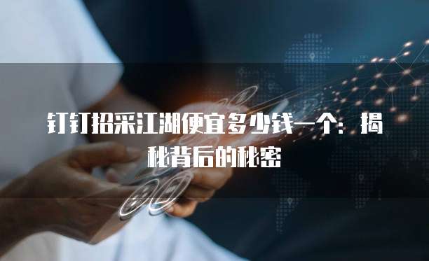 钉钉招采江湖便宜多少钱一个:揭秘背后的秘密