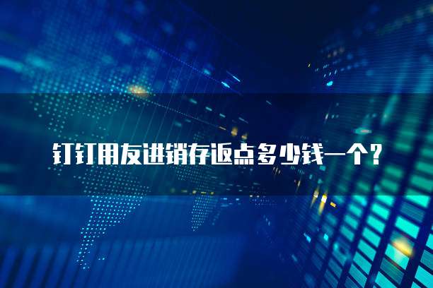 钉钉用友进销存返点多少钱一个?
