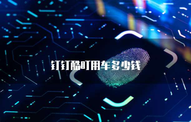 钉钉酷盯用车多少钱