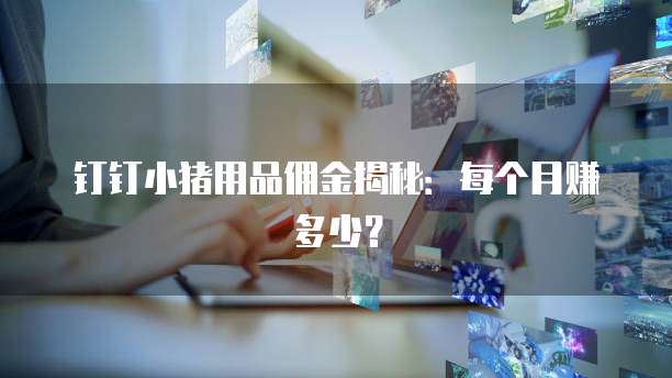 钉钉小猪用品佣金揭秘：每个月赚多少？