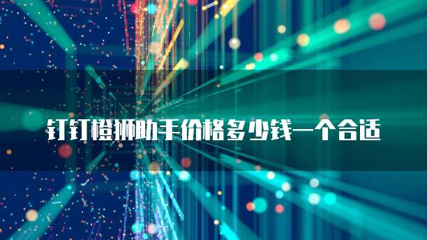 钉钉橙狮助手价格多少钱一个合适