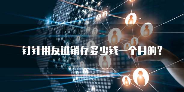 钉钉用友进销存多少钱一个月的?
