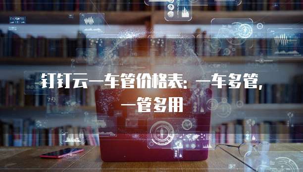 钉钉云一车管价格表: 一车多管, 一管多用