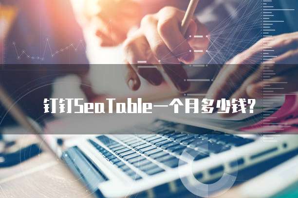 钉钉SeaTable一个月多少钱?