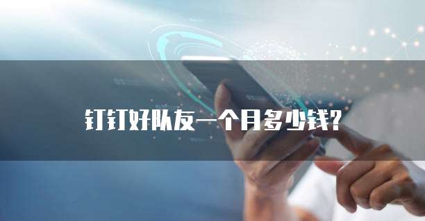 钉钉好队友一个月多少钱？