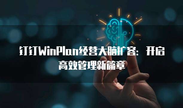 钉钉WinPlan经营大脑扩容:开启高效管理新篇章