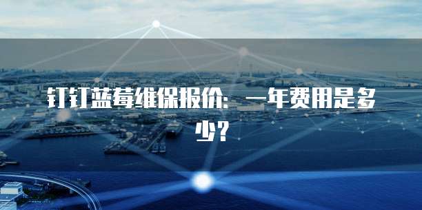 钉钉蓝莓维保报价：一年费用是多少？