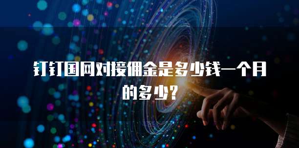 钉钉国网对接佣金是多少钱一个月的多少？