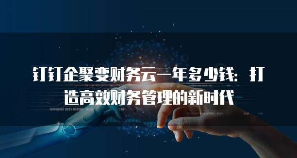 钉钉企聚变财务云一年多少钱:打造高效财务管理的新时代