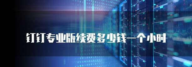 钉钉专业版续费多少钱一个小时