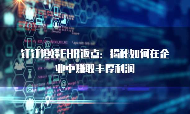 钉钉橙蜂EHR返点：揭秘如何在企业中赚取丰厚利润