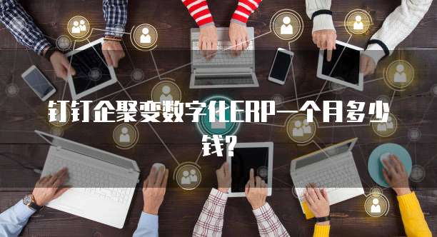 钉钉企聚变数字化ERP一个月多少钱？