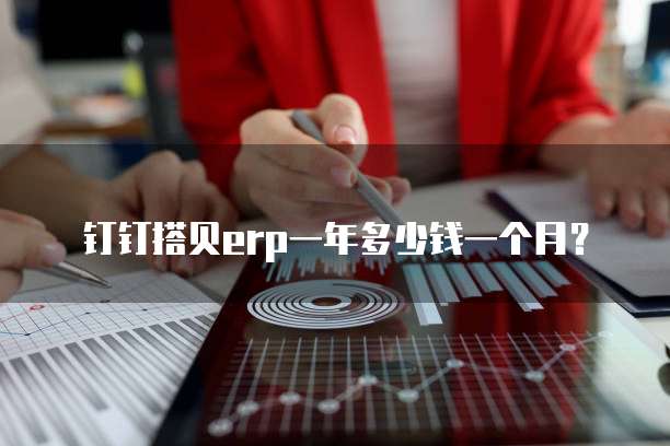 钉钉搭贝erp一年多少钱一个月？