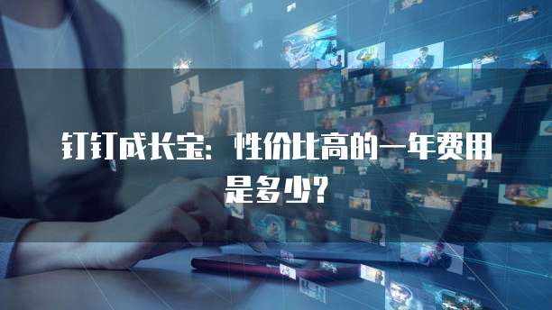 钉钉成长宝:性价比高的一年费用是多少?