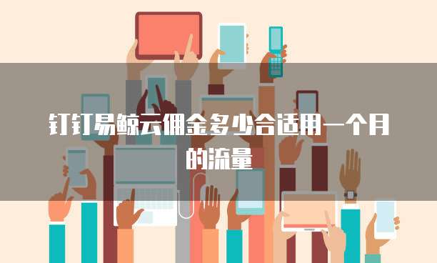 钉钉易鲸云佣金多少合适用一个月的流量