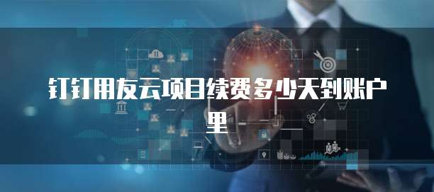 钉钉用友云项目续费多少天到账户里