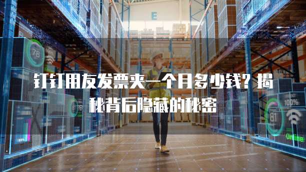 钉钉用友发票夹一个月多少钱？揭秘背后隐藏的秘密
