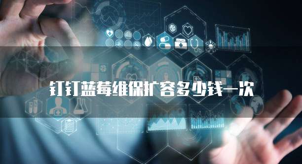 钉钉蓝莓维保扩容多少钱一次