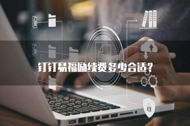 钉钉易福励续费多少合适？
