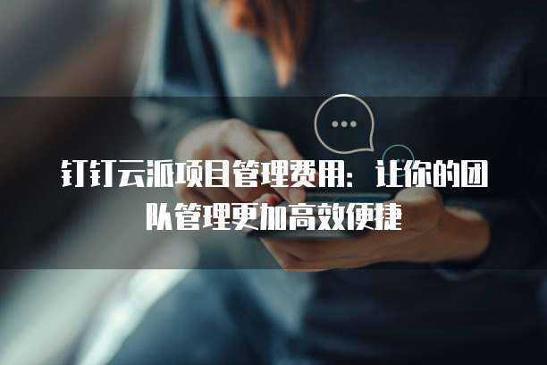 钉钉云派项目管理费用：让你的团队管理更加高效便捷