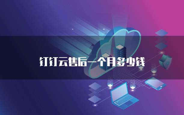 钉钉云售后一个月多少钱