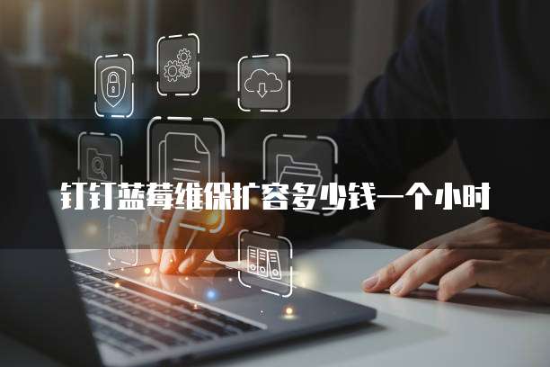 钉钉蓝莓维保扩容多少钱一个小时